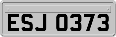 ESJ0373