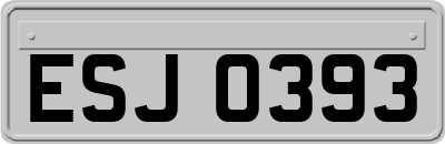 ESJ0393