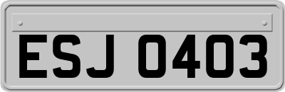 ESJ0403