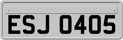 ESJ0405
