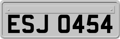 ESJ0454
