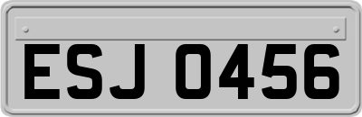 ESJ0456