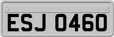 ESJ0460