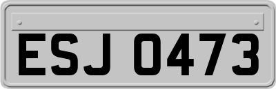 ESJ0473