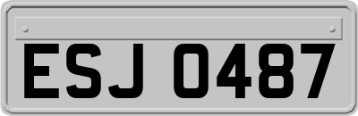ESJ0487