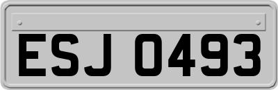 ESJ0493
