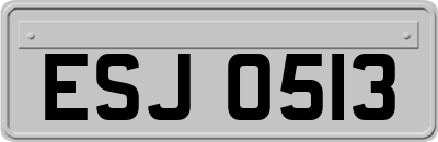 ESJ0513