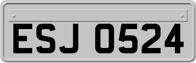 ESJ0524