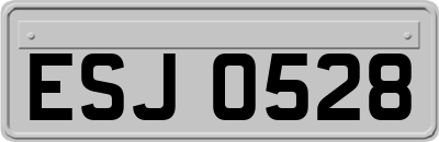 ESJ0528