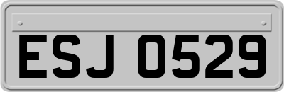 ESJ0529