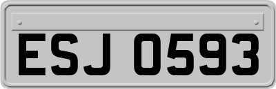ESJ0593