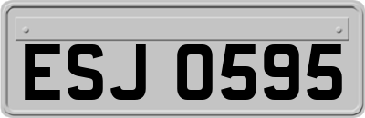 ESJ0595