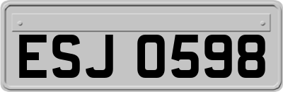 ESJ0598