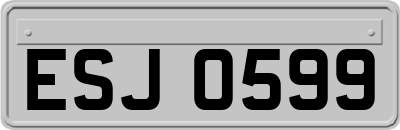 ESJ0599