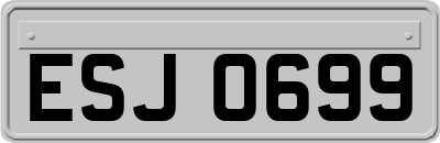 ESJ0699