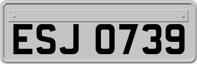 ESJ0739