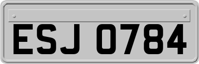 ESJ0784