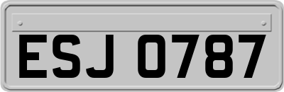 ESJ0787