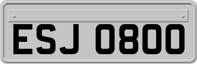 ESJ0800