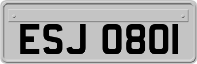 ESJ0801