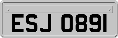 ESJ0891