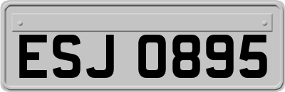 ESJ0895