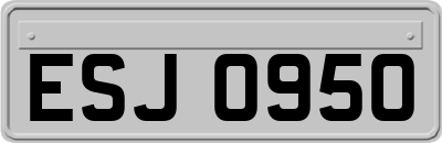 ESJ0950