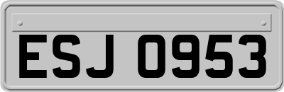 ESJ0953