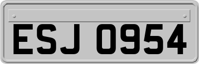 ESJ0954