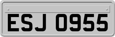 ESJ0955