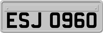 ESJ0960