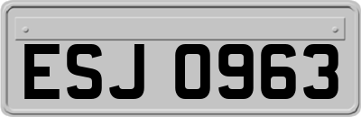 ESJ0963
