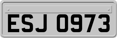 ESJ0973
