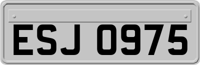 ESJ0975