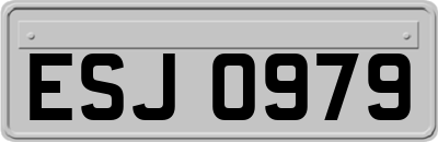 ESJ0979