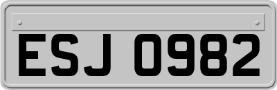 ESJ0982