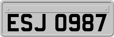 ESJ0987