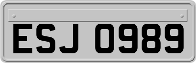 ESJ0989