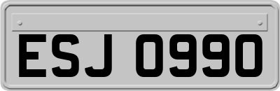 ESJ0990