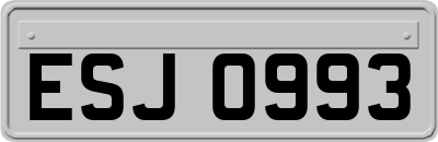 ESJ0993