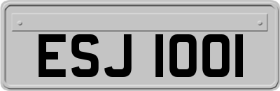 ESJ1001
