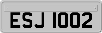 ESJ1002