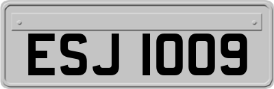 ESJ1009