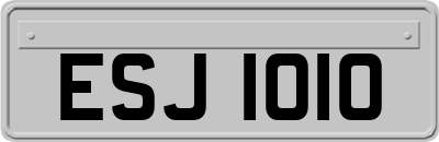 ESJ1010