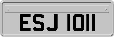 ESJ1011