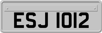 ESJ1012