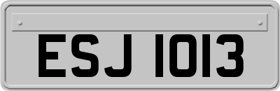 ESJ1013