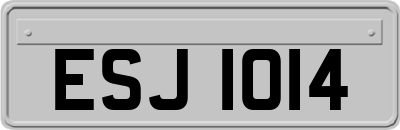 ESJ1014