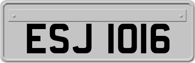 ESJ1016