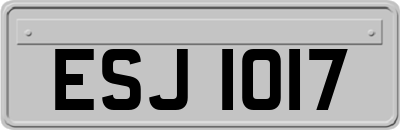 ESJ1017
